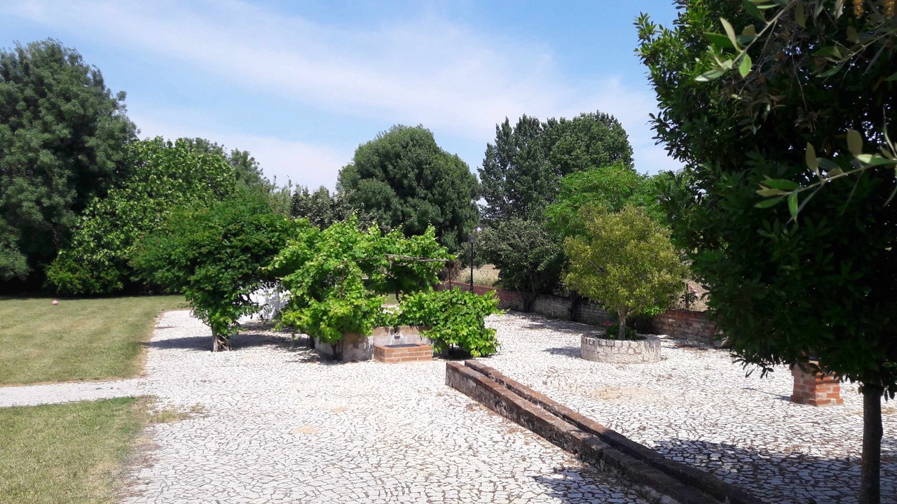 Photo of Outdoor in Vimieiro