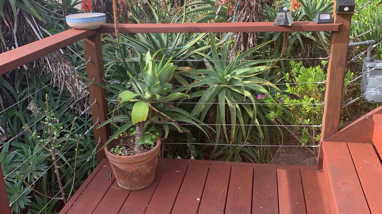 Photo of Outdoor in Happy Hill