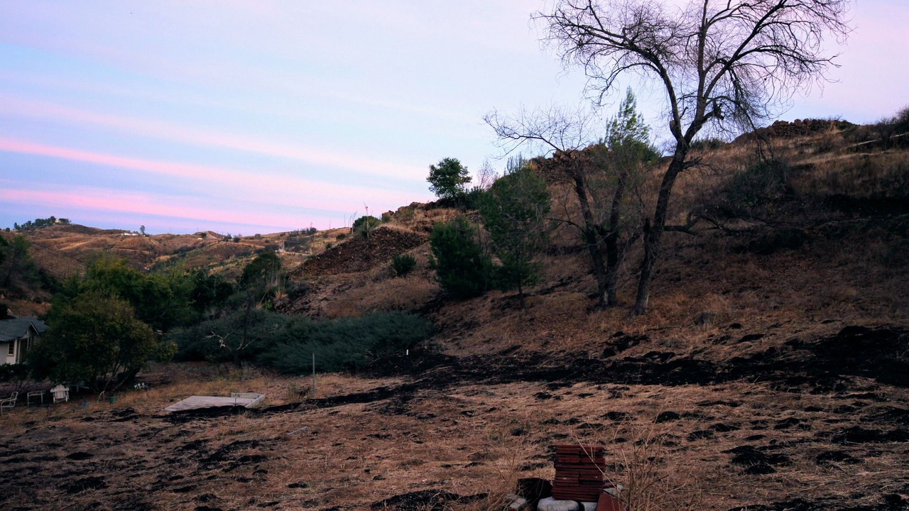 Photo of Others in Malibu