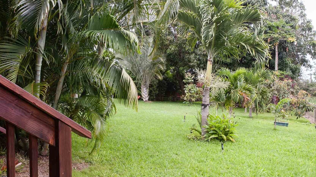 Photo of Outdoor in Waialua