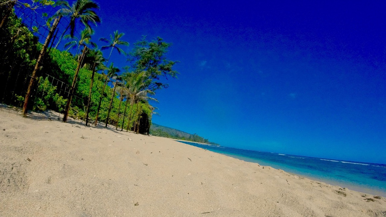 Photo of Others in Waialua