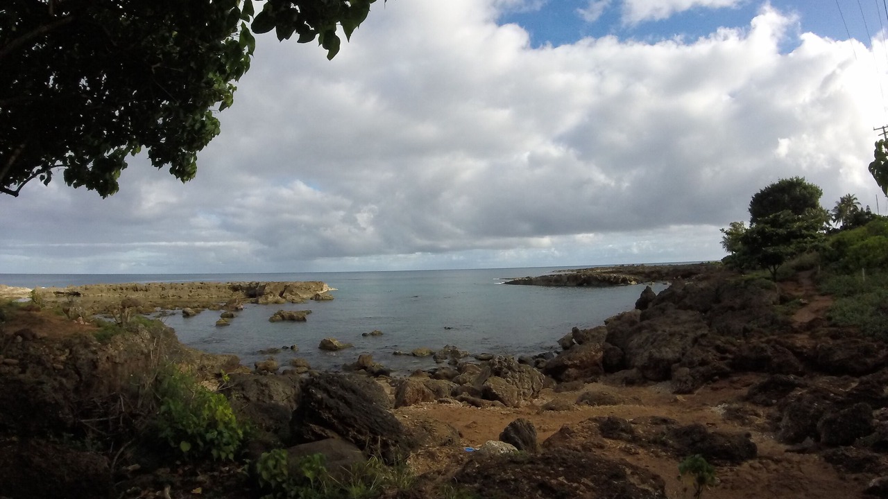 Photo of Others in Waialua