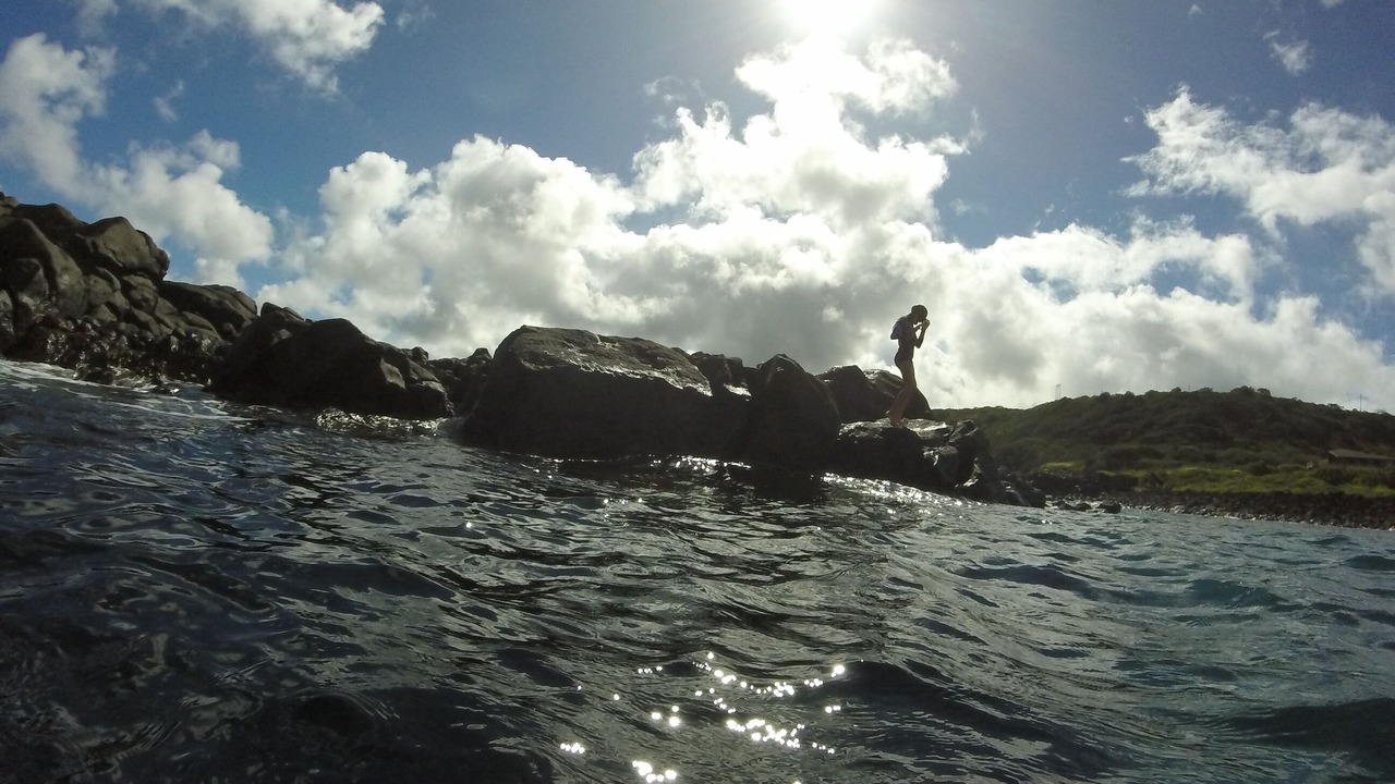 Photo of Others in Waialua