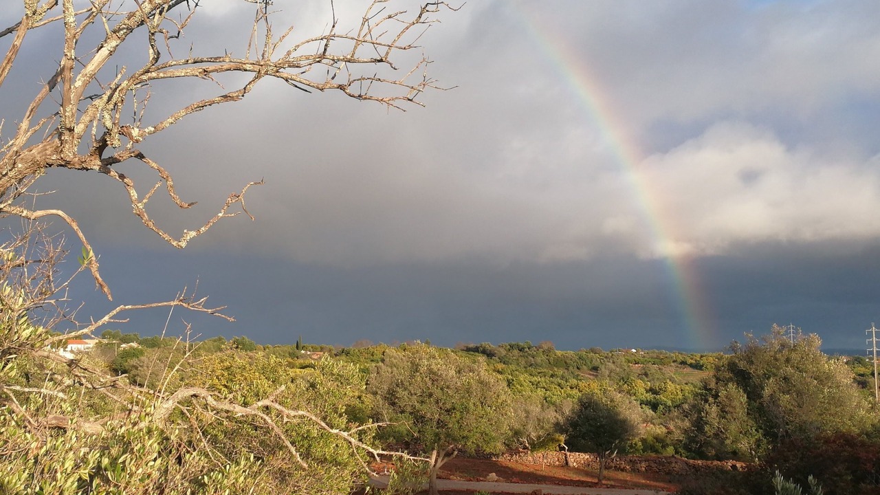 Photo of Outdoor in Silves