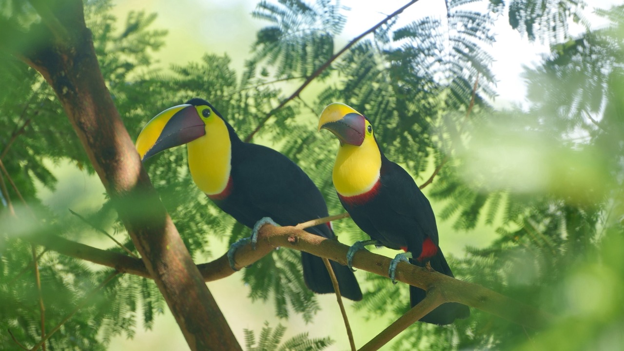 Photo of Others in Punta Uva