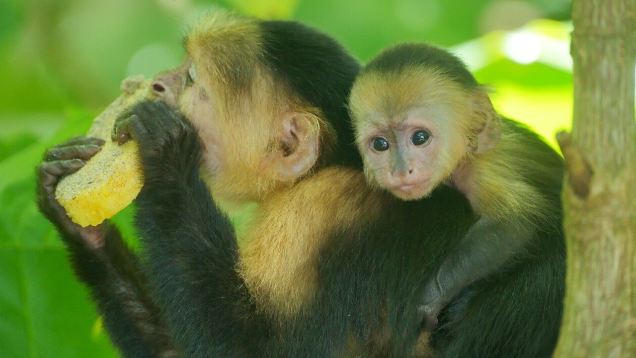 Photo of Others in Punta Uva