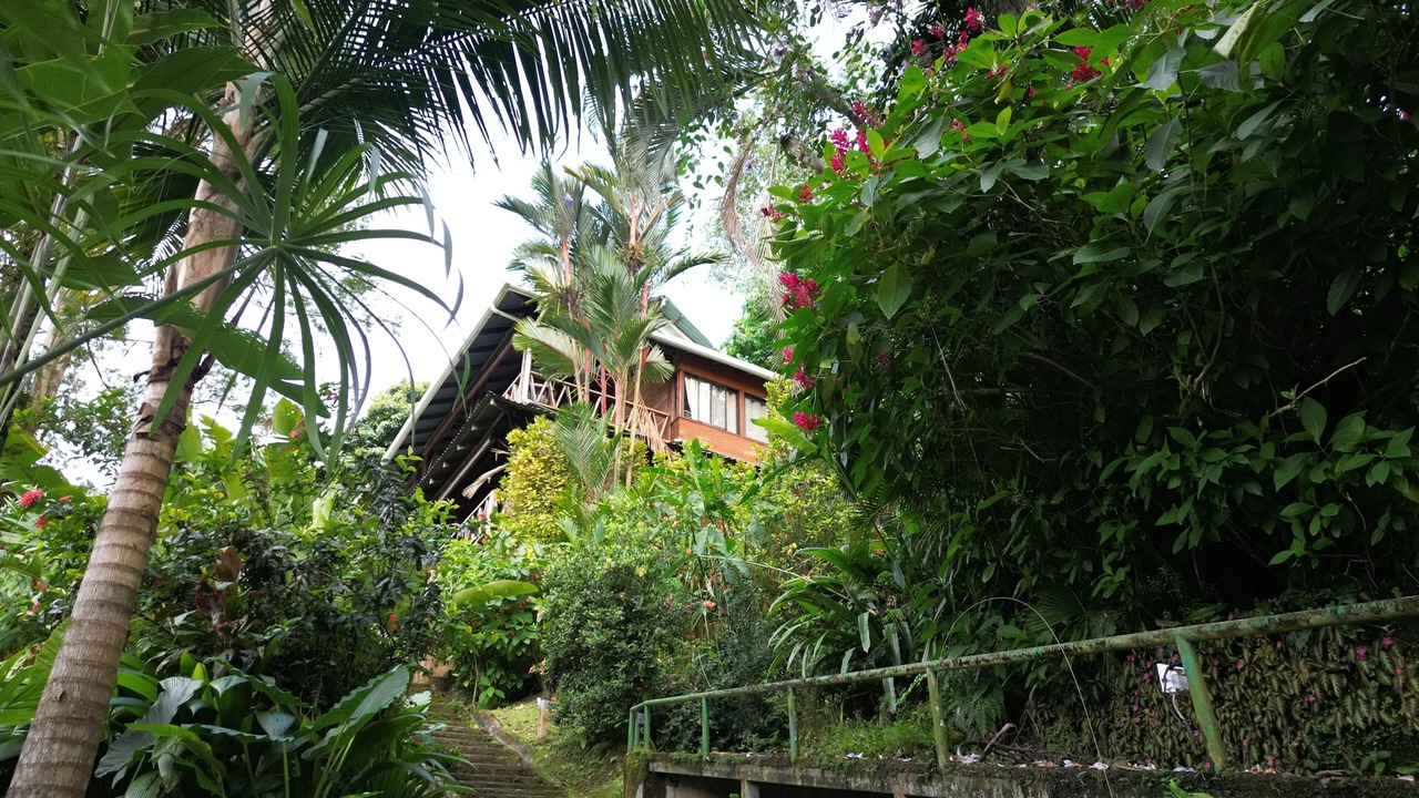 Photo of Outdoor in Punta Uva