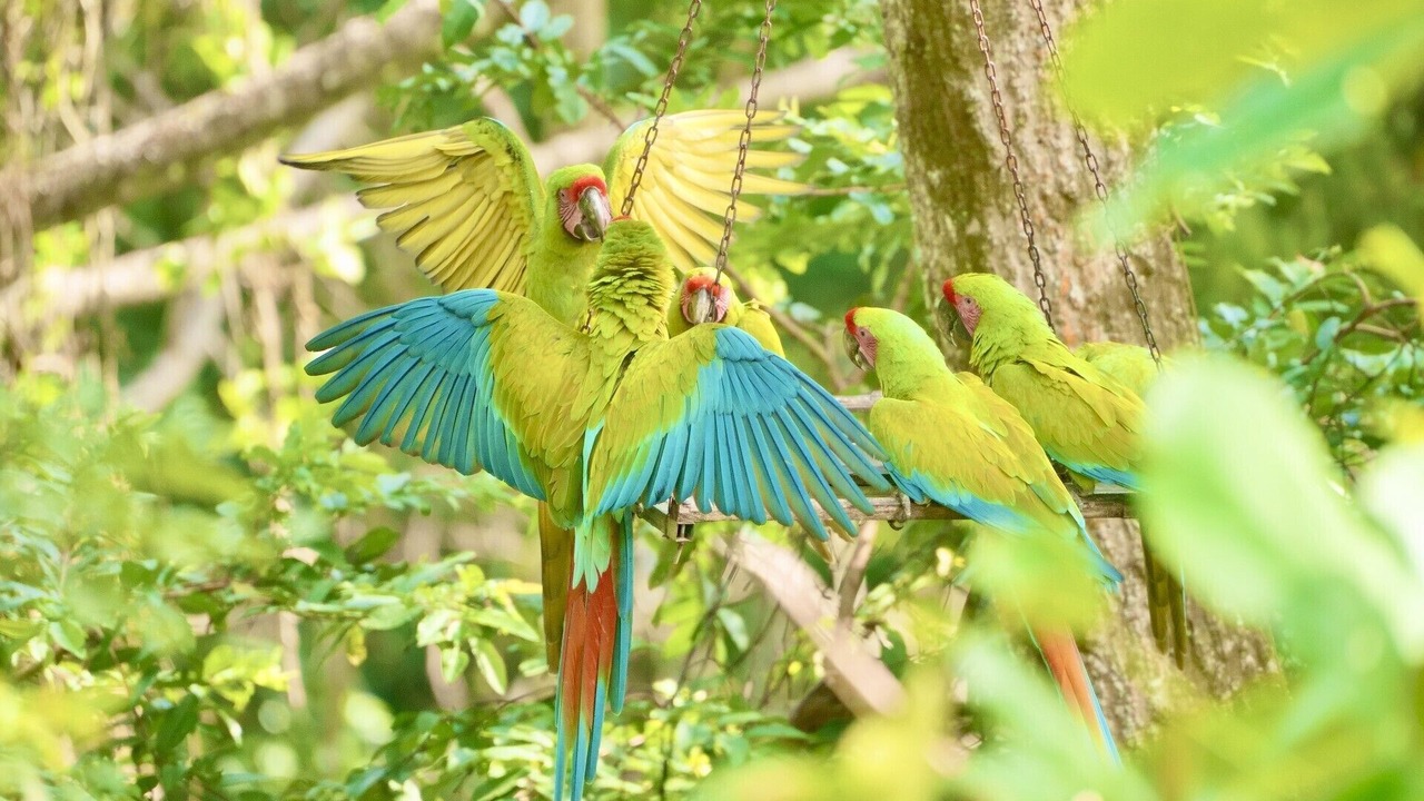 Photo of Others in Punta Uva