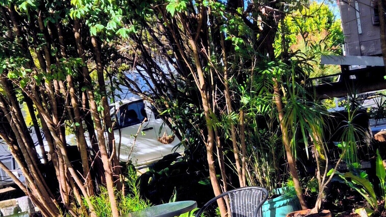 Photo of Outdoor in Linville