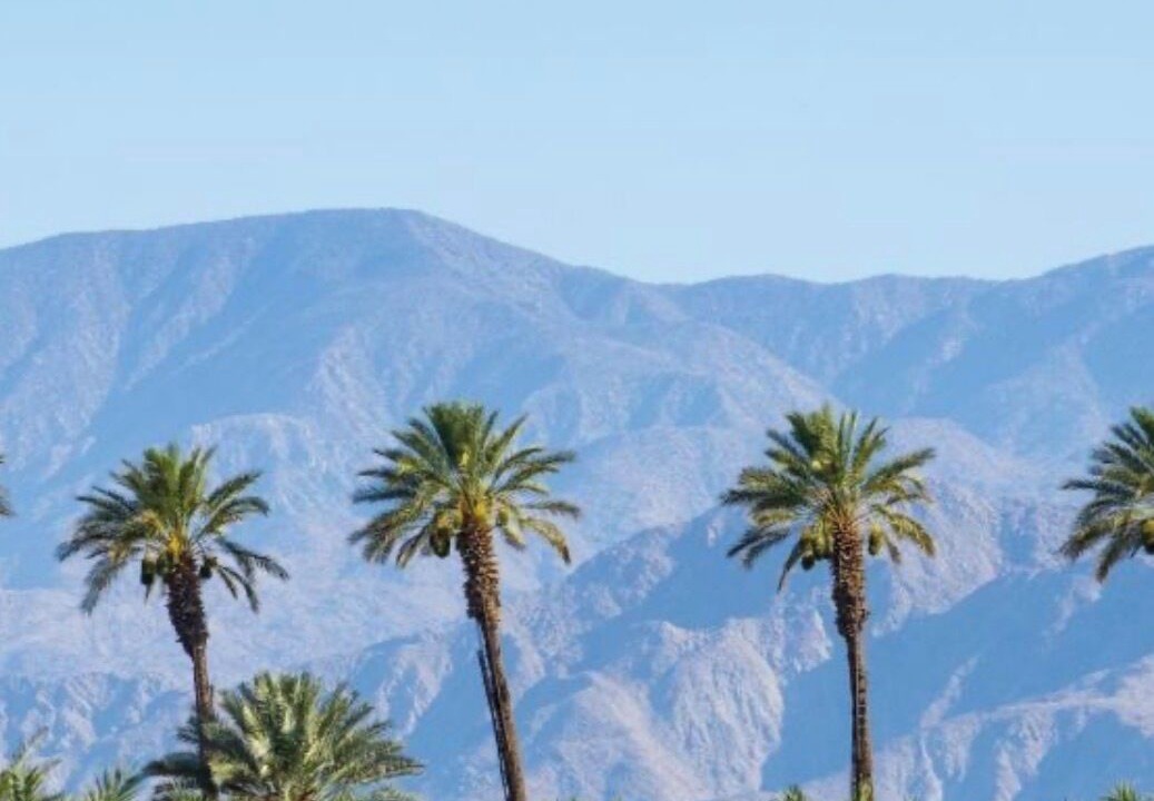 Photo of Others in Coachella