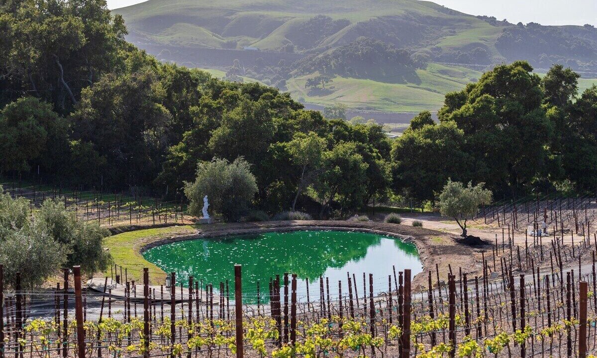 Photo of Others in Santa Barbara County