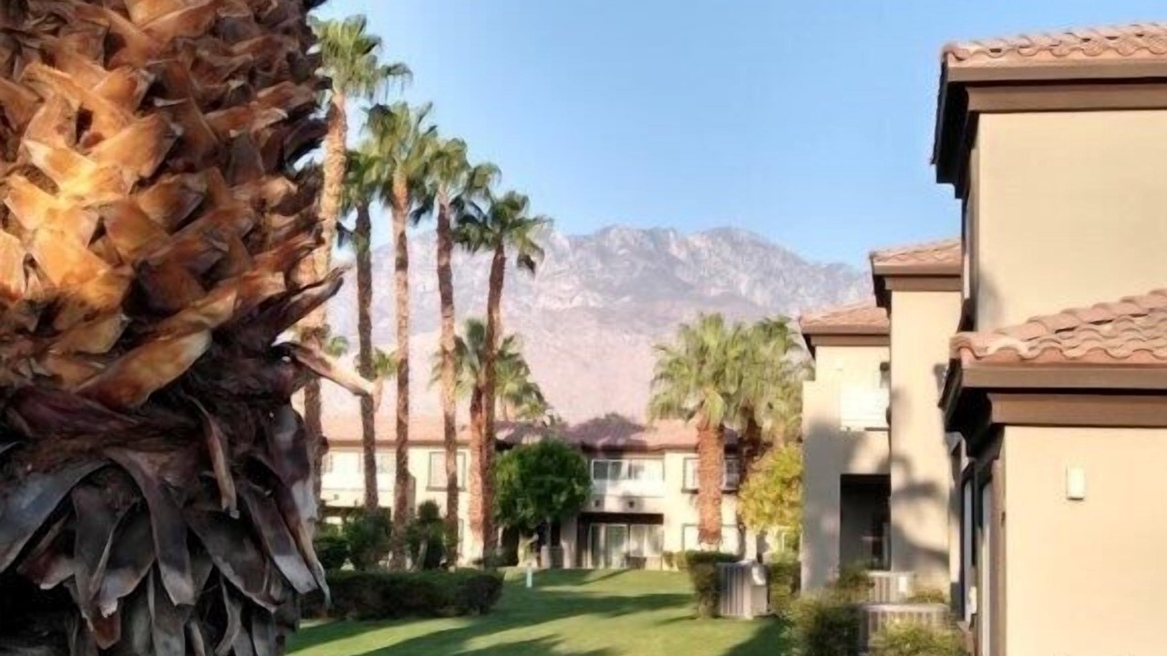 Photo of Others in Palm Springs