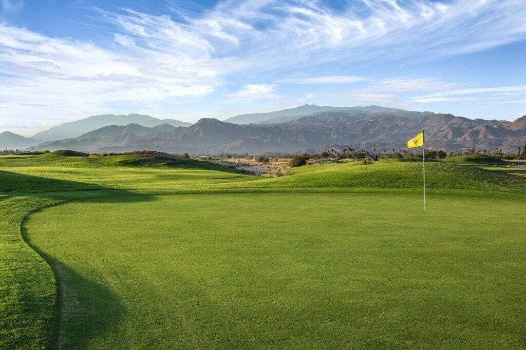 Photo of Others in Palm Springs