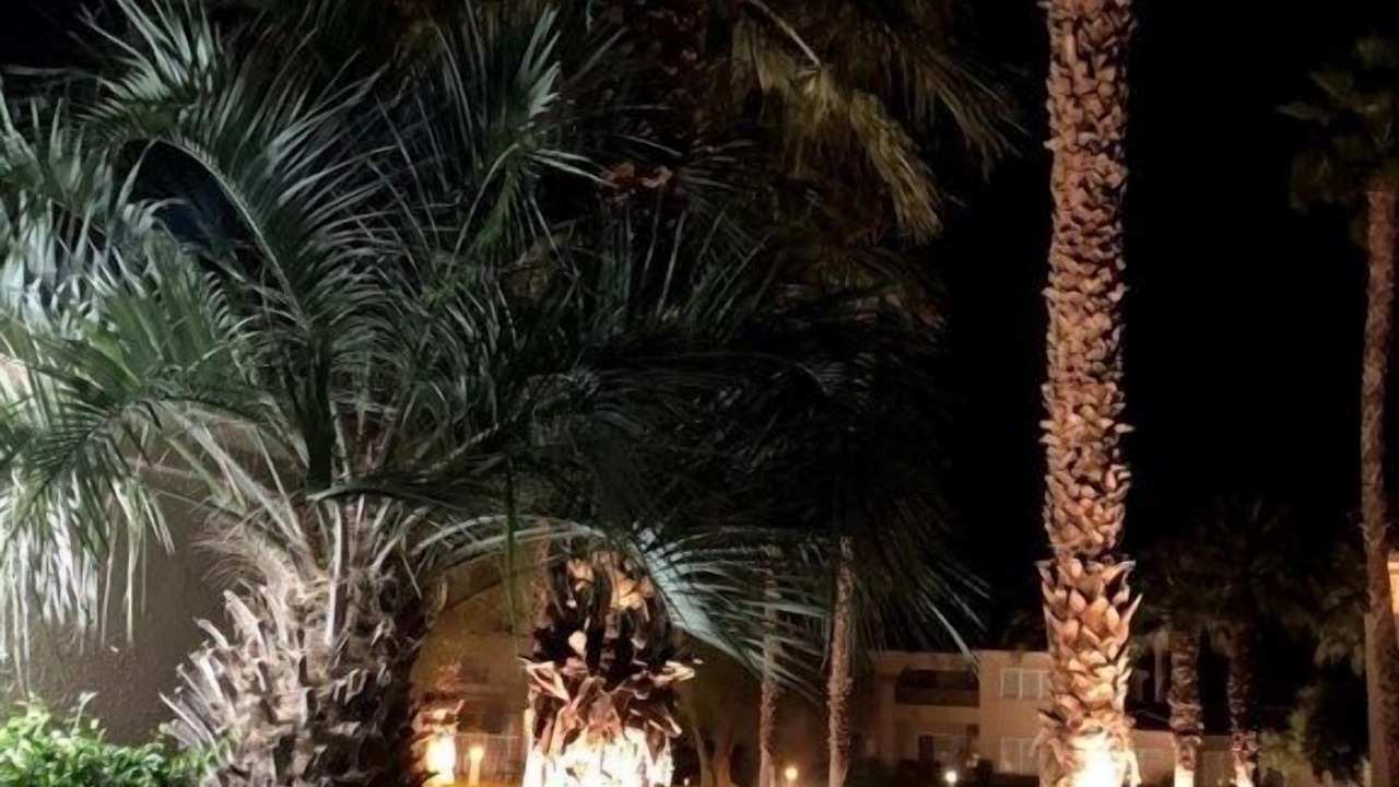 Photo of Others in Palm Springs