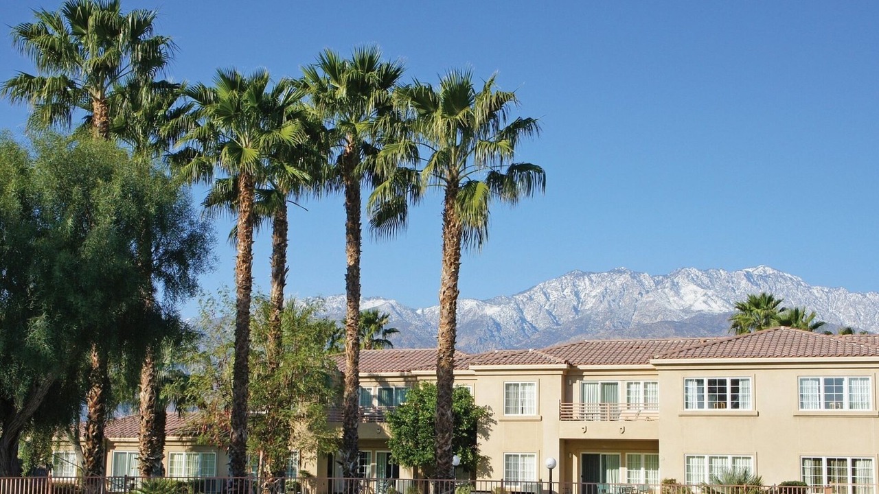 Photo of Others in Palm Springs