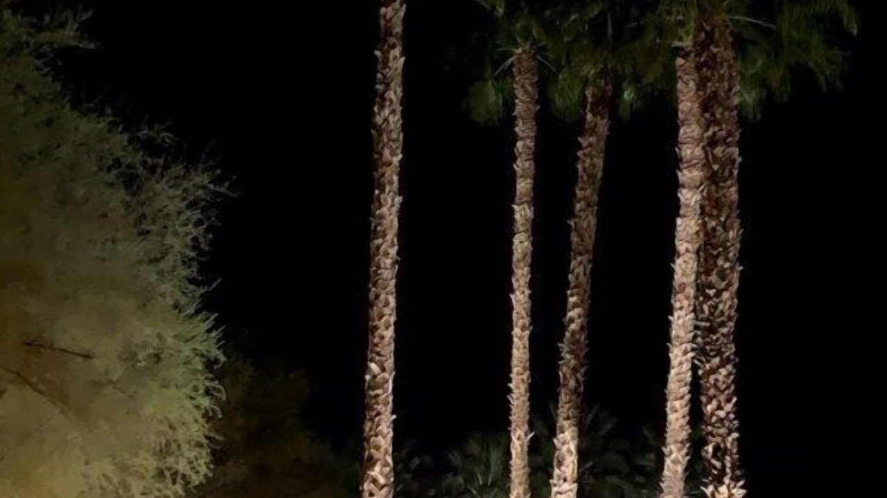 Photo of Others in Palm Springs