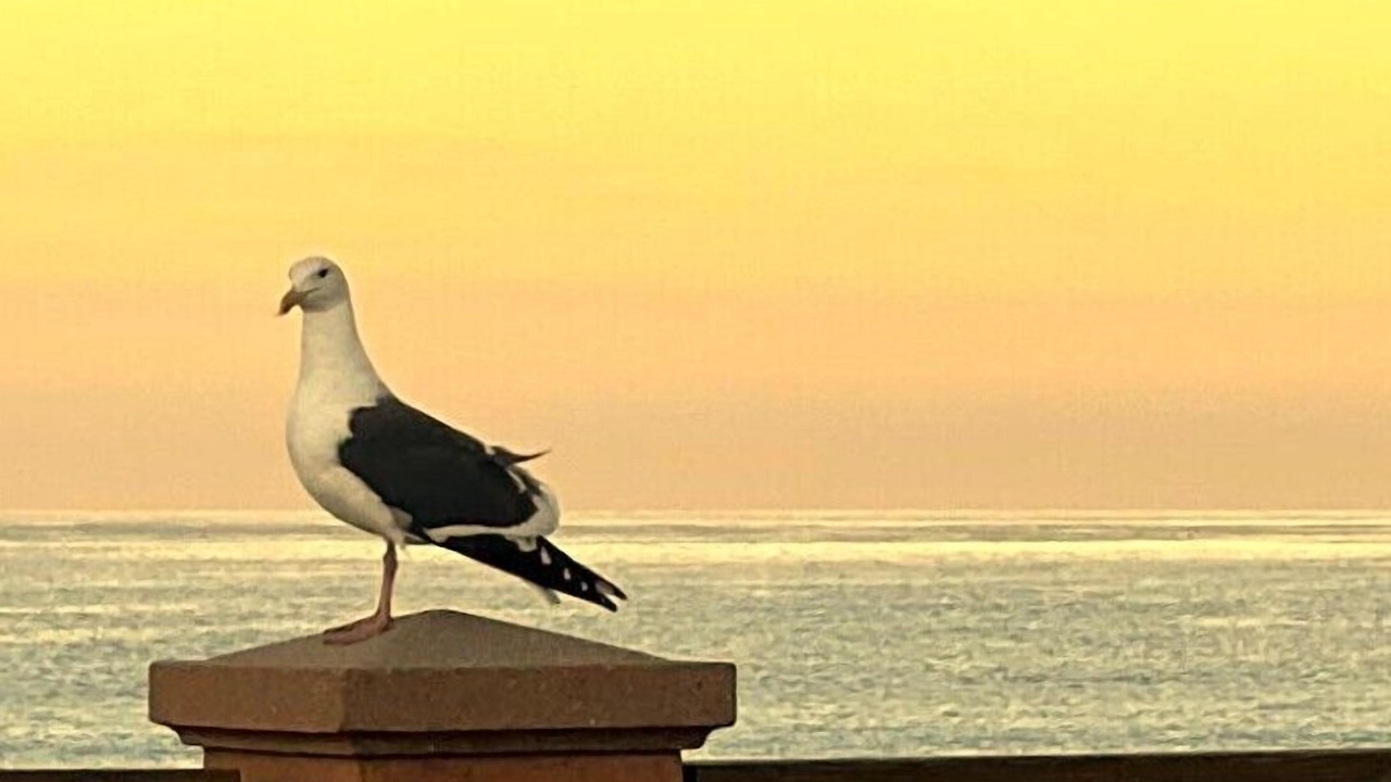 Photo of Others in Downtown