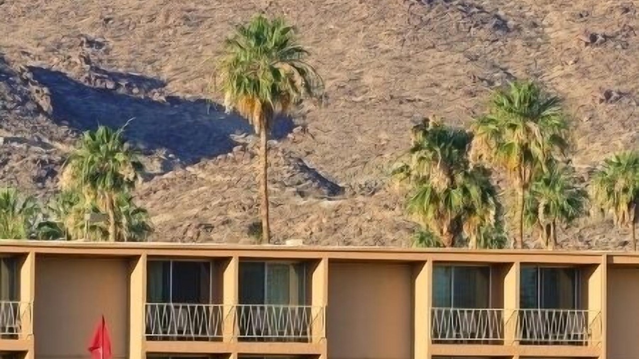 Photo of Others in Palm Springs