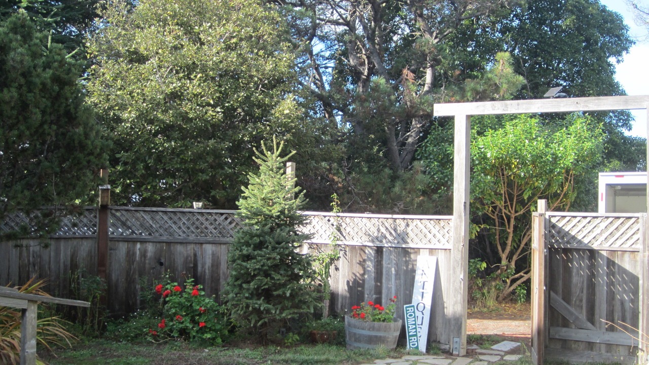 Photo of Outdoor in Gualala