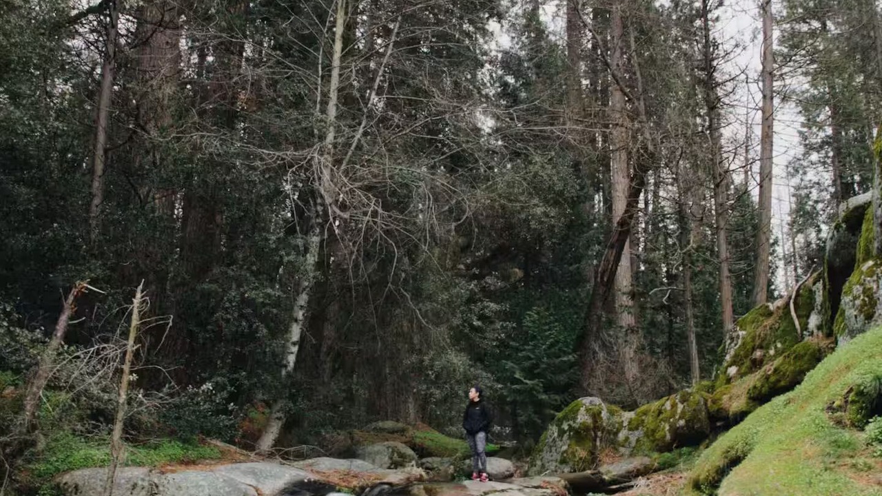 Photo of Others in California Hot Springs