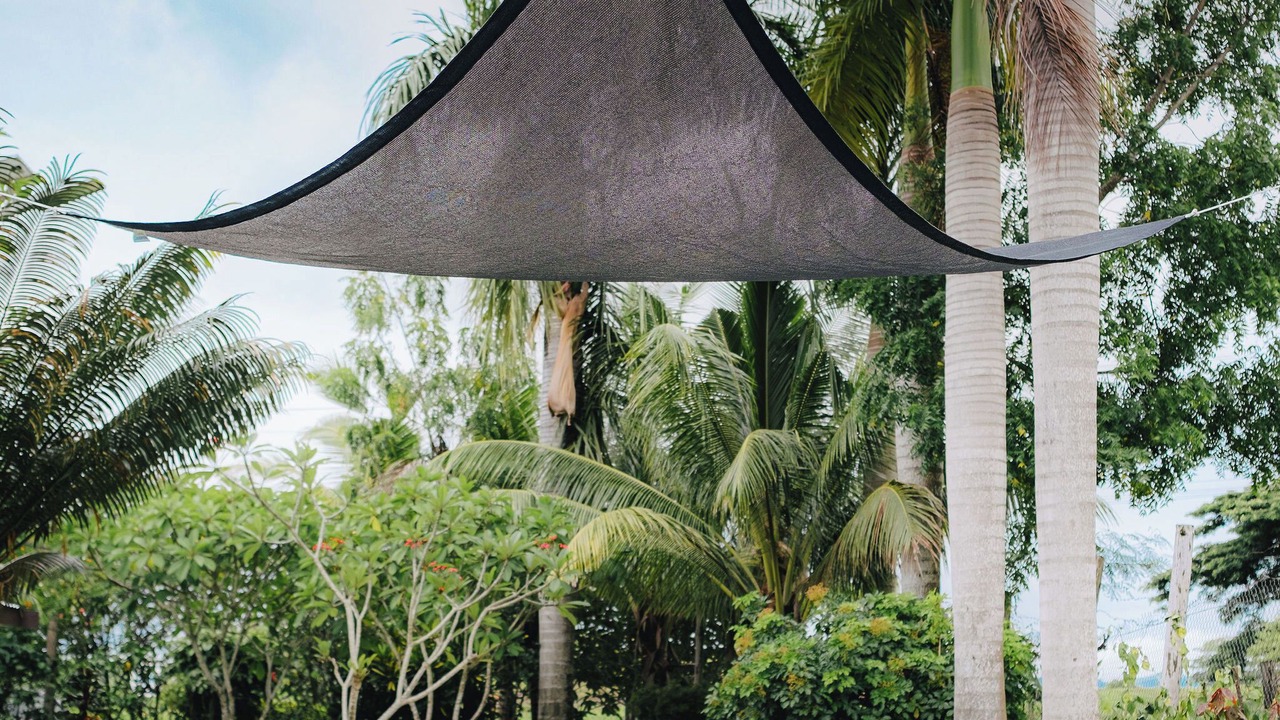 Photo of Outdoor in Lautoka