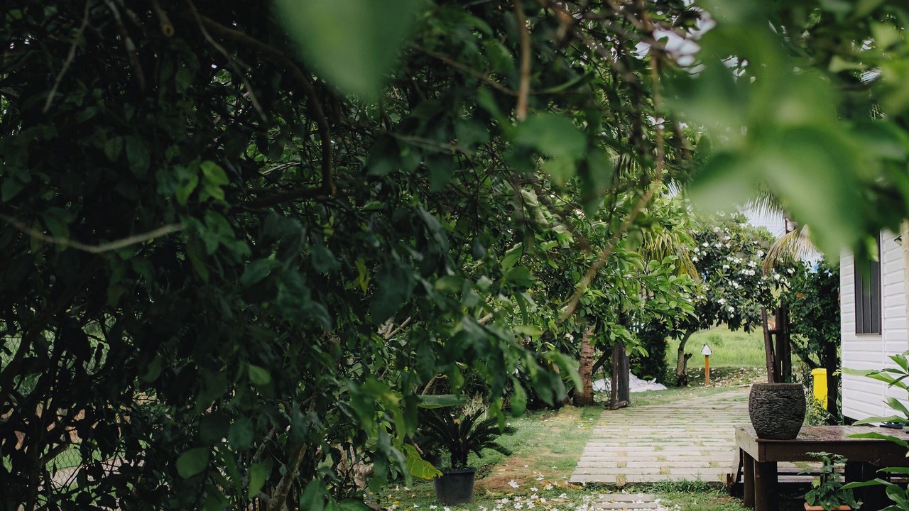 Photo of Outdoor in Lautoka