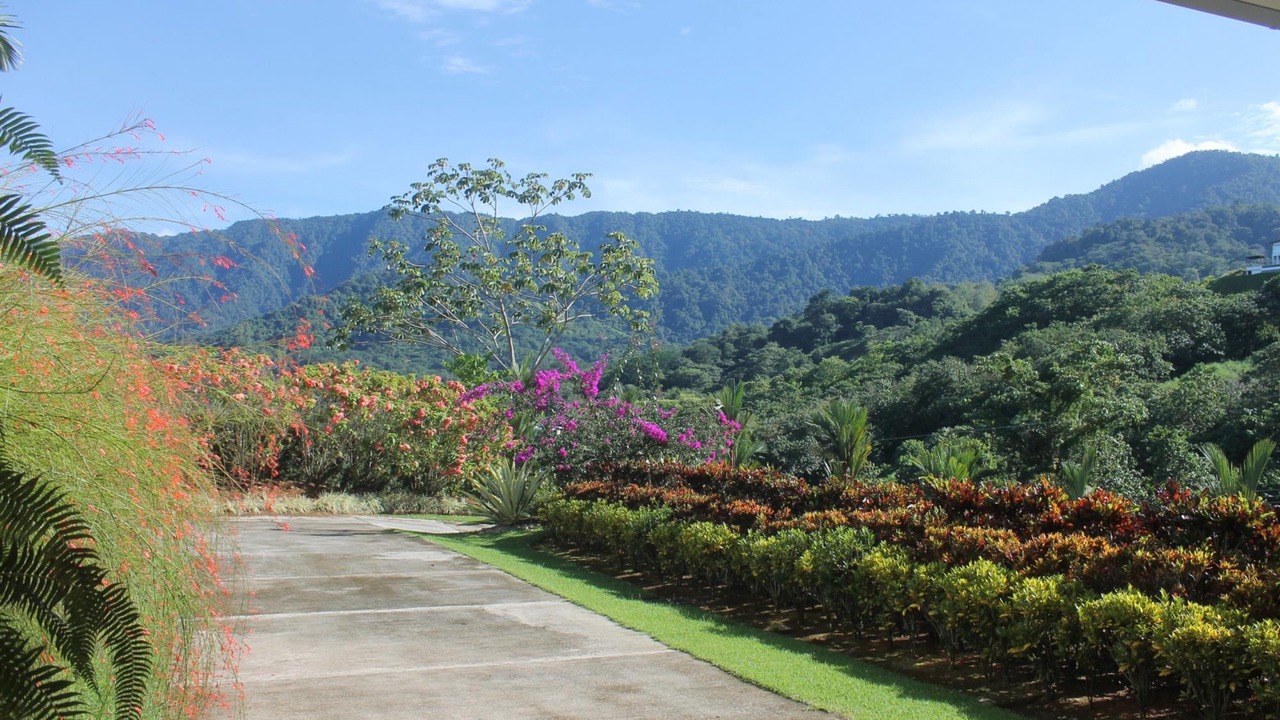 Photo of Outdoor in Ciudad Cortes