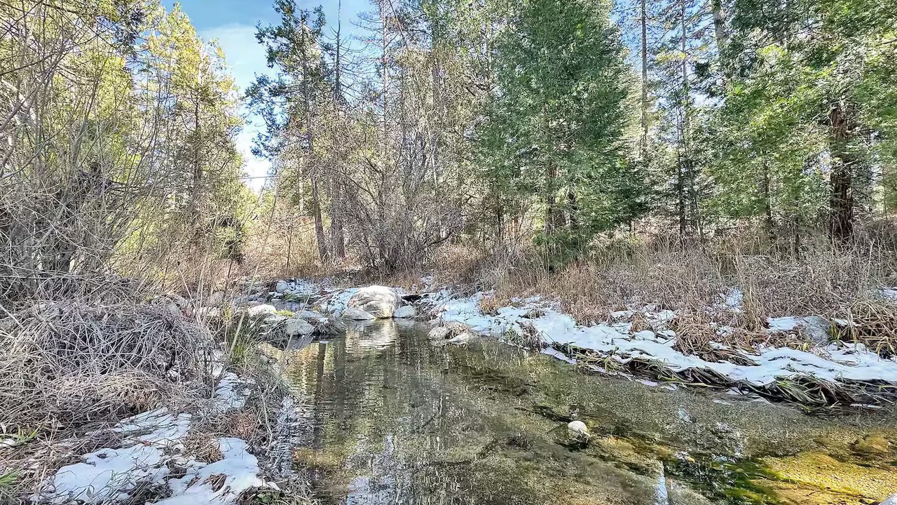 Photo of Others in Idyllwild
