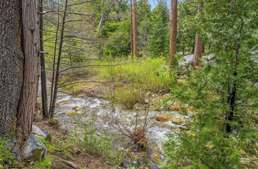 Photo of Others in Idyllwild