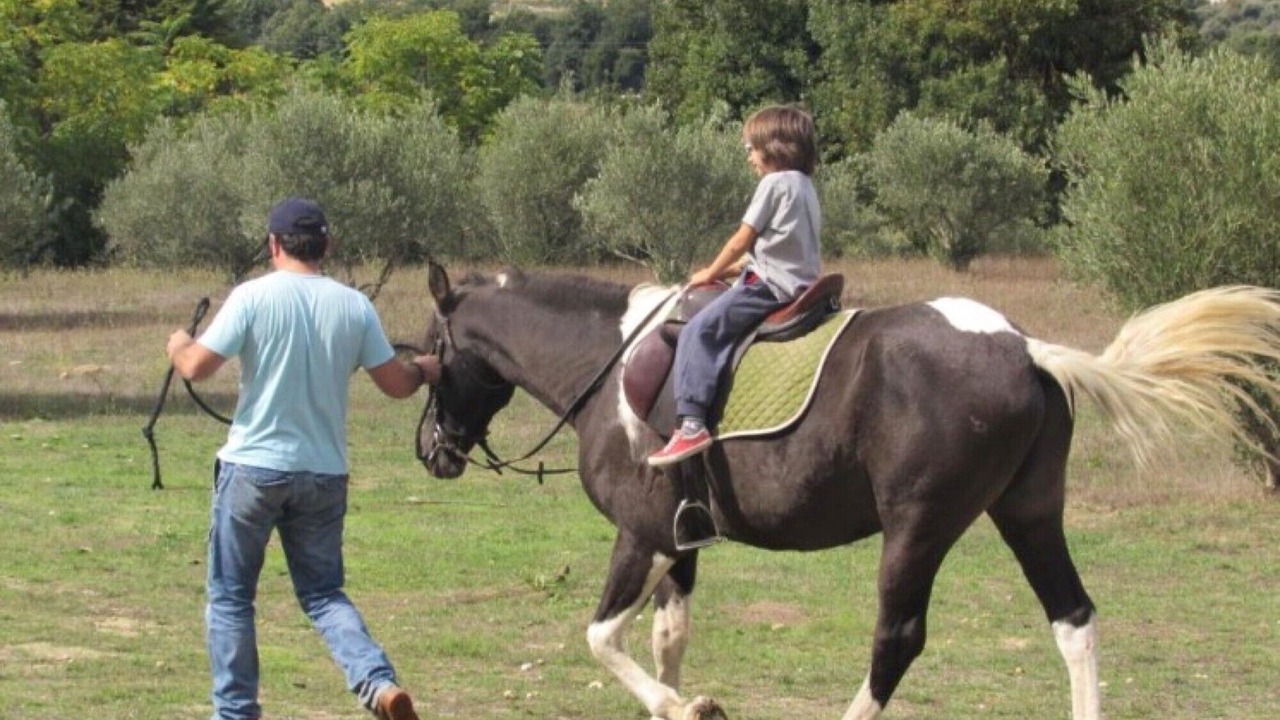 Photo of Others in Celorico da Beira