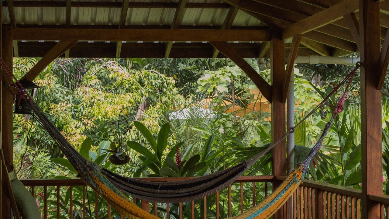 Photo of Others in Punta Uva