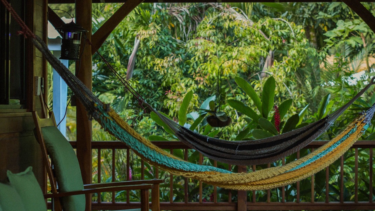 Photo of Others in Punta Uva