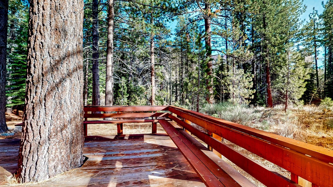 Photo of Outdoor in Christmas Valley