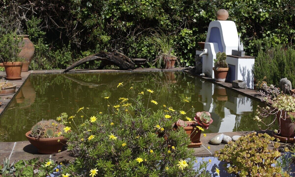 Photo of Outdoor in Varzea de Sintra