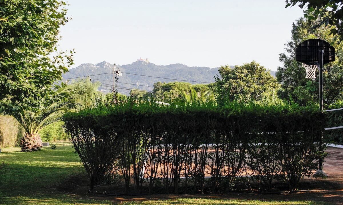 Photo of Outdoor in Varzea de Sintra