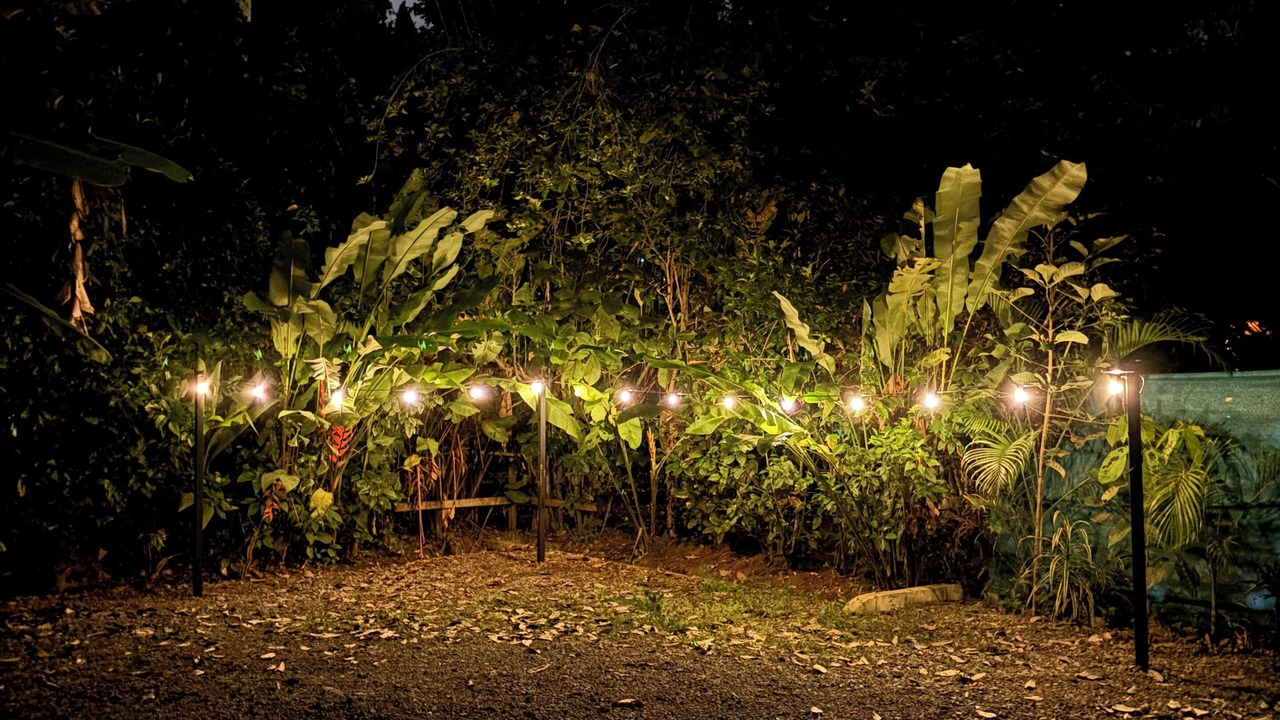 Photo of Outdoor in Puerto Viejo de Talamanca