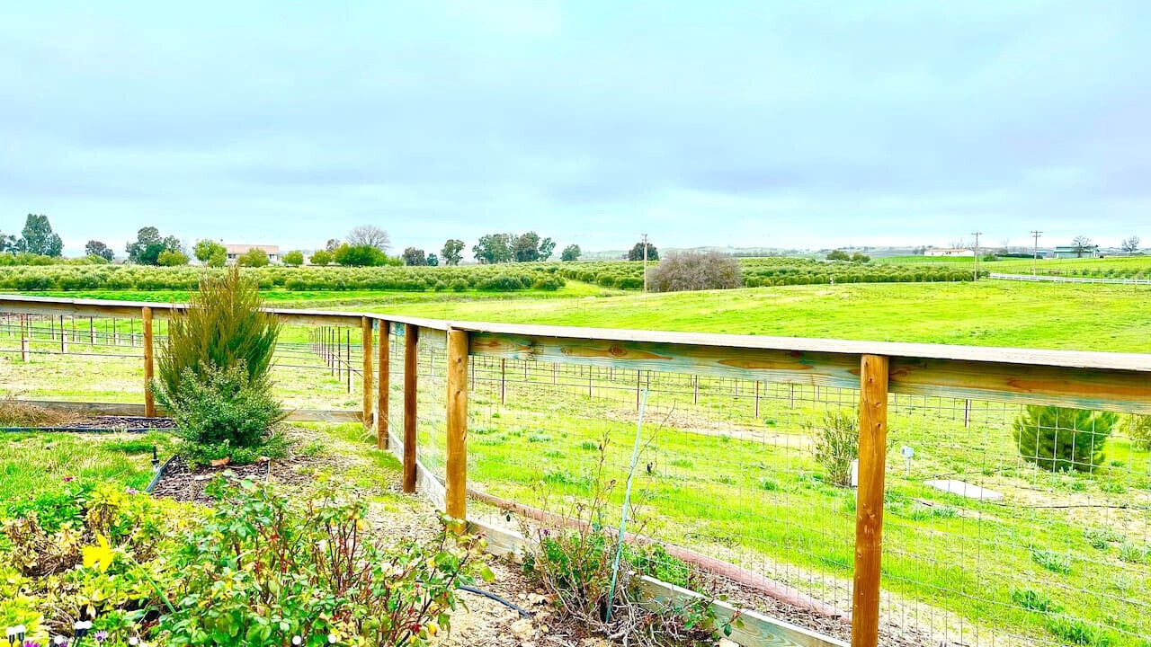 Photo of Outdoor in Paso Robles