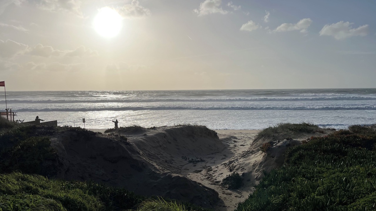Photo of Others in Charneca de Caparica e Sobreda