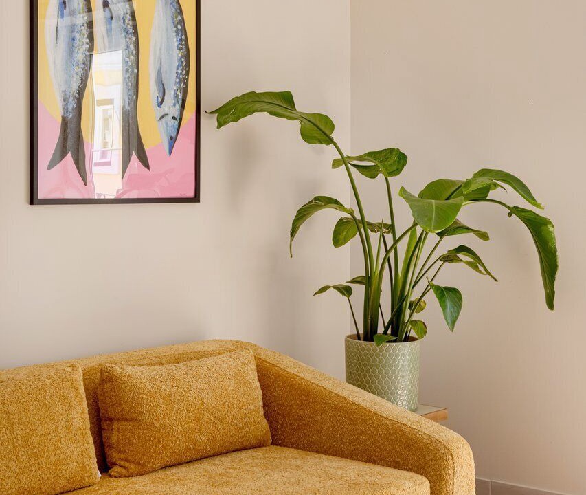 Photo of Livingroom in Sao Bento