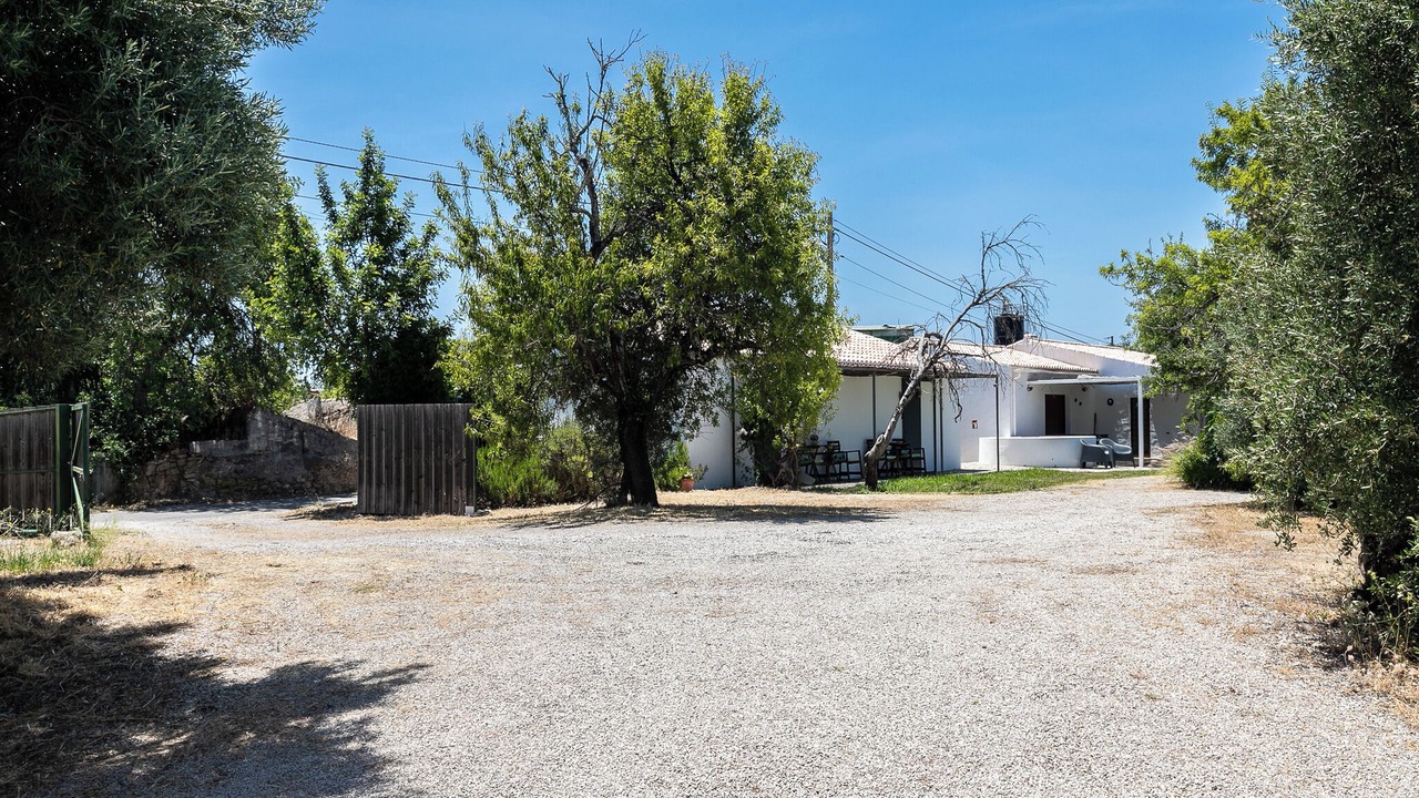 Photo of Outdoor in Loule