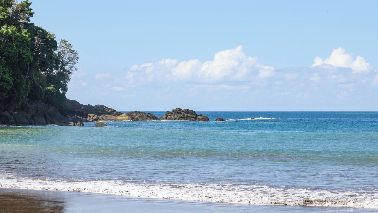 Photo of Others in Ballena
