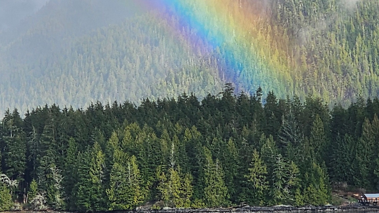 Photo of Others in Tofino