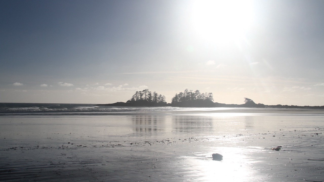 Photo of Others in Tofino