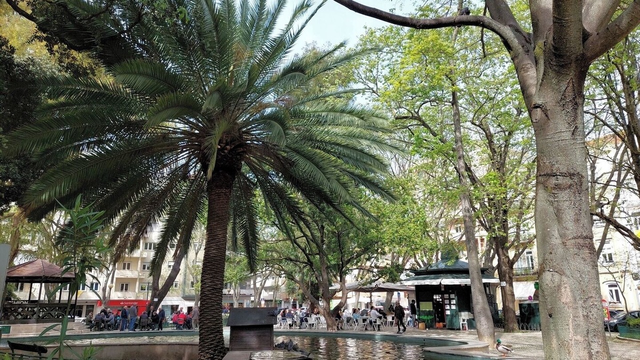 Photo of Outdoor in Santo Condestavel