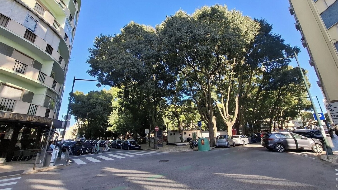 Photo of Others in Santo Condestavel