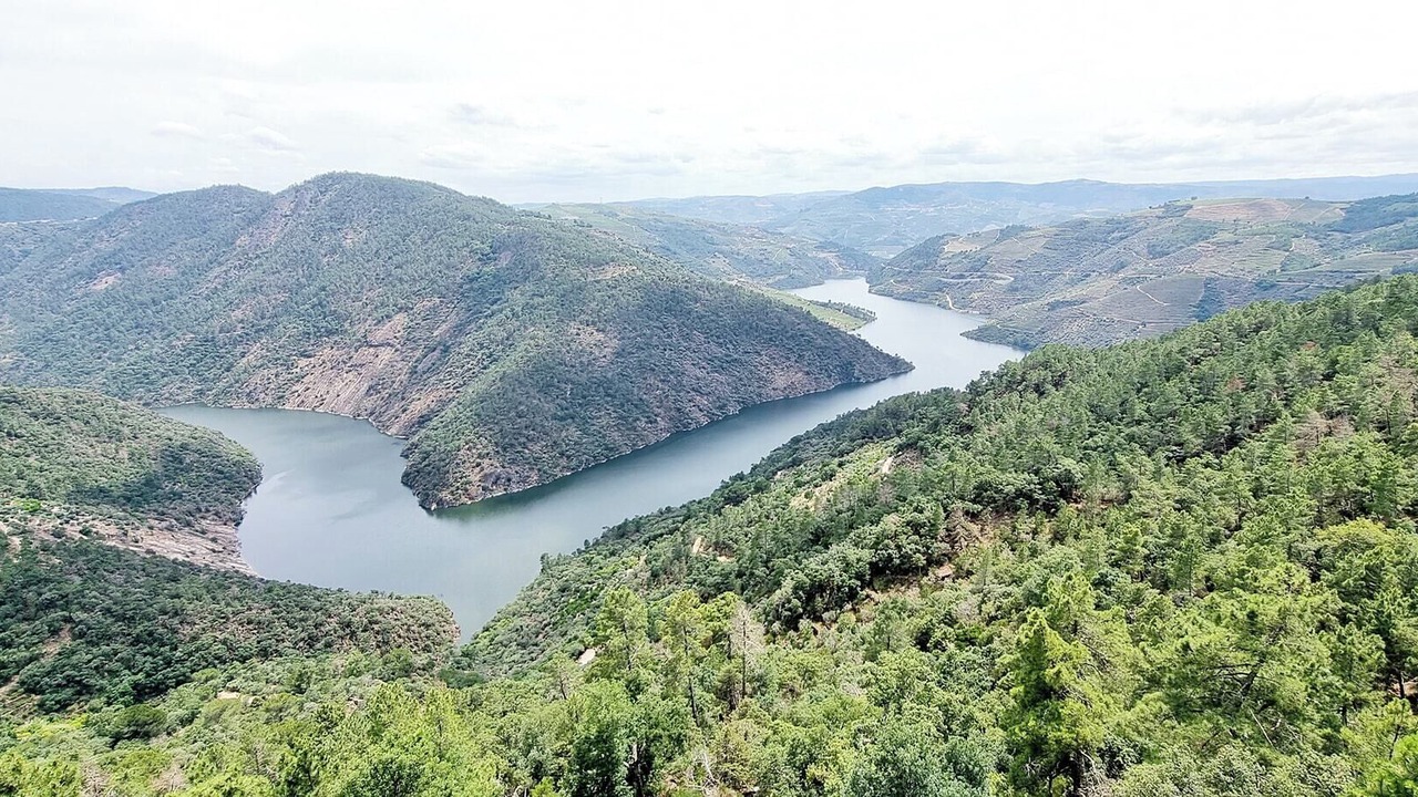 Photo of Others in Bomfim