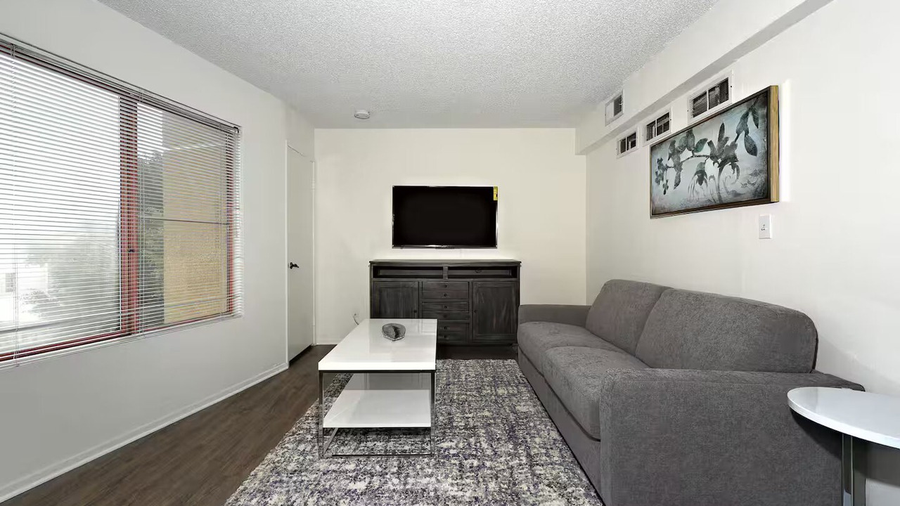 Photo of Livingroom in Palms