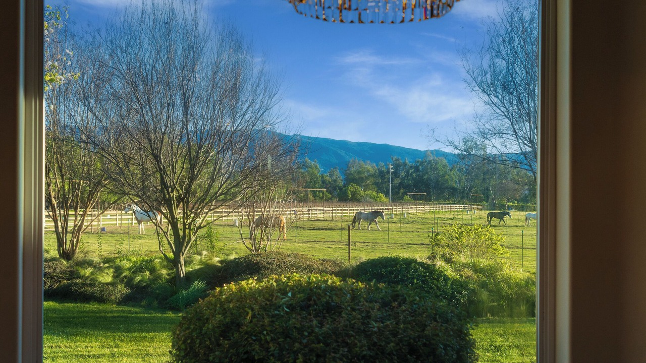 Photo of Others in Santa Ynez