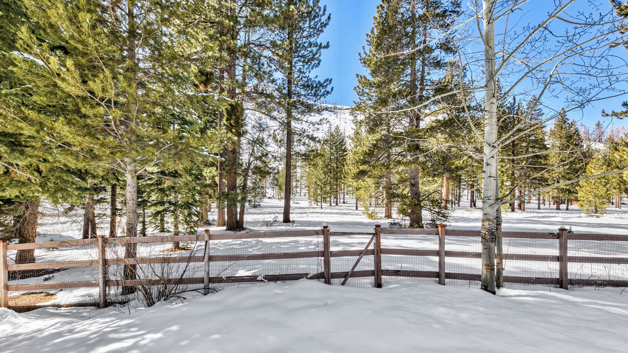 Photo of Outdoor in Christmas Valley