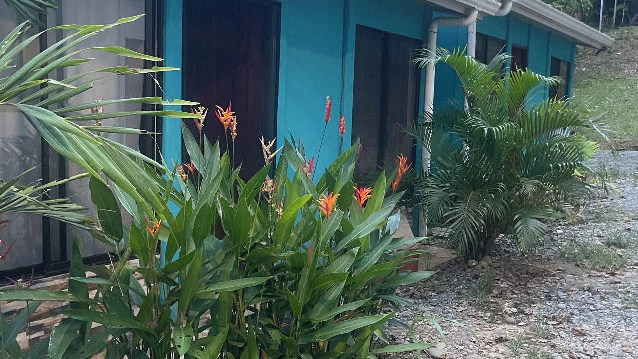Photo of Outdoor in Cocles